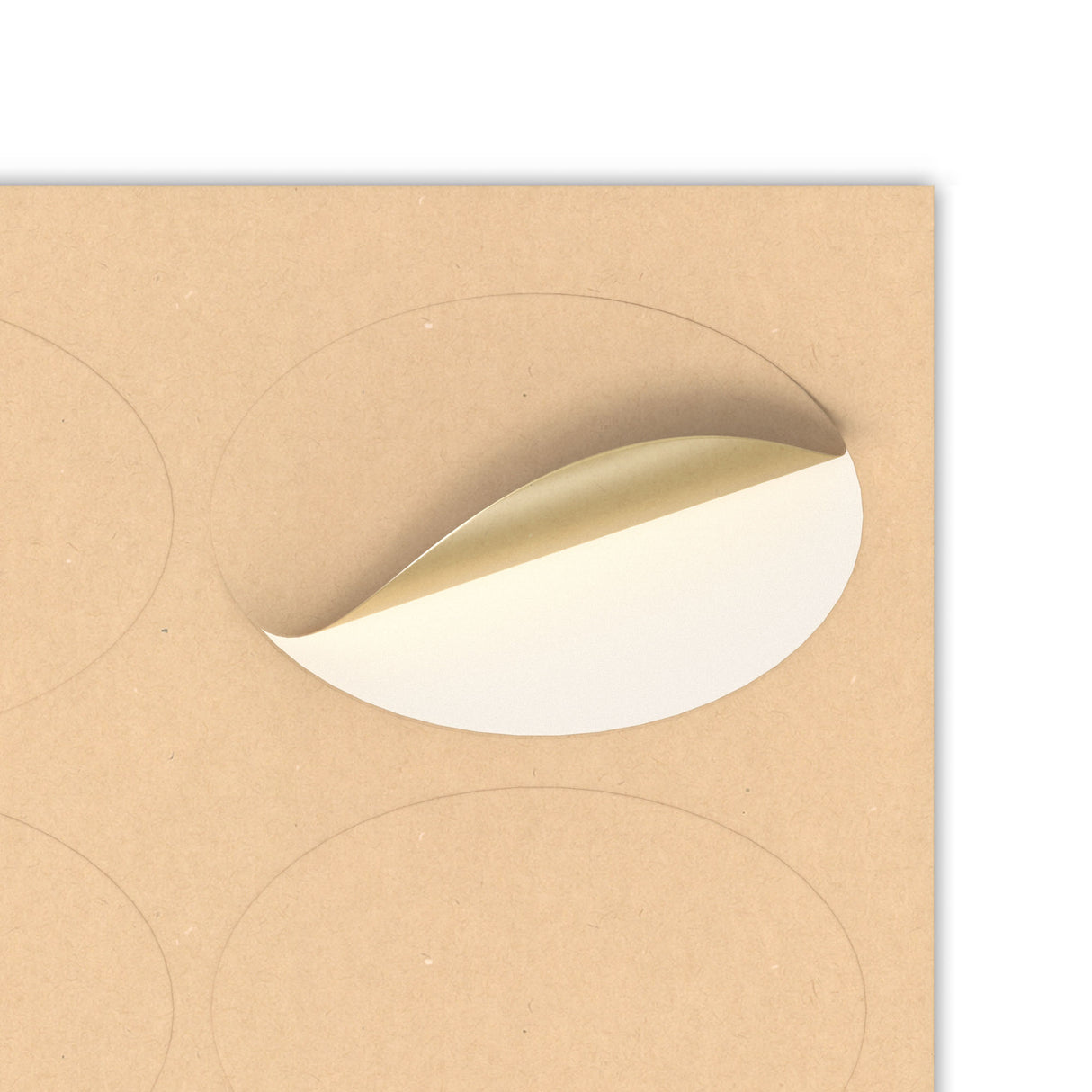 Ovala självhäftande etiketter