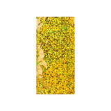 Holografiskfolierade påsar